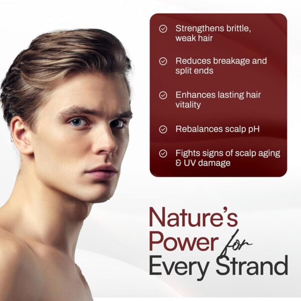 FOLTENE Scalp & Hair Treatment for Men – Revitalizing Formula to Strengthen, Restore Fullness, and Reduce Thinning – Advanced Care for Healthier, Thicker Strands (24 Vials)