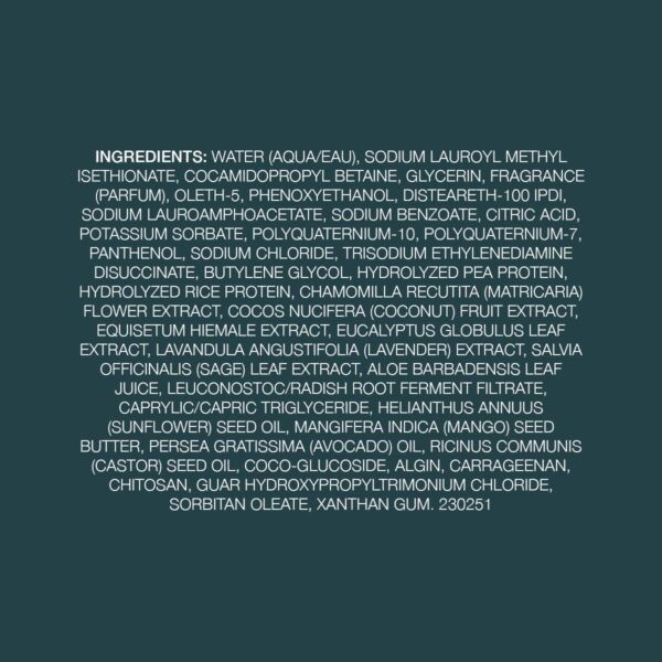 Kristin Ess Hair Scalp Purifying Micellar Shampoo for Deep Cleansing + Scalp Hydrating - Removes Build Up, Shine Boosting, Vegan, Sulfate Free Shampoo, Color Safe + Keratin Safe, 10 fl oz