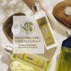L'OCCITANE Body Lotion: Moisturizing With Shea Butter, Softening, Visibly Firmer-Looking Skin, Made in France, Almond Milk Veil, Noble Epine, Barbotine, Cherry Blossom, Lavender, Rose and Verbena