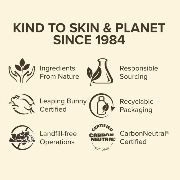 Beeswax Lip Balm Pack by Burts Bees for Unisex - 4 x 0.15 oz Lip Balm