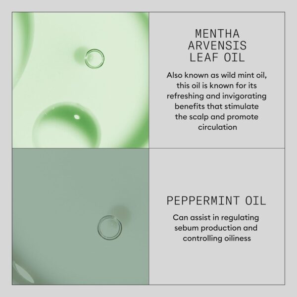 Nioxin Hair Booster Serum | Advanced Leave-In Hair Treatment| Strengthens and Conditions | 3.4 Fl oz.