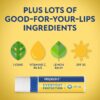 Herpecin L Lip Balm Stick with SPF30 and Lysine; Protects & Treats Cold Sores & Fever Blisters, Chapped Lips, 0.1oz - 2 Pack