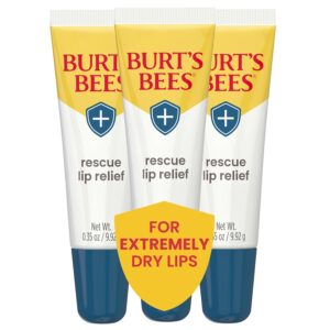 Burts Bees Rescue Lip Relief with Shea Butter and Echinacea, 100% Natural Origin, 0.35 Ounces