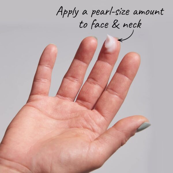 Peter Thomas Roth | Water Drench® Hyaluronic Cloud Cream | Hydrating Moisturizer for Face, Up to 72 Hours of Hydration for More Youthful-Looking Skin, Fragrance Free