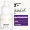 Pacifica Acne Spot Treatment & Pimple Cream – Dry It Out Gel with 2% Salicylic Acid, Witch Hazel, Niacinamide – Dries Blemishes Overnight, Fights Breakouts & Redness, For Teens & Adults, Vegan Clean