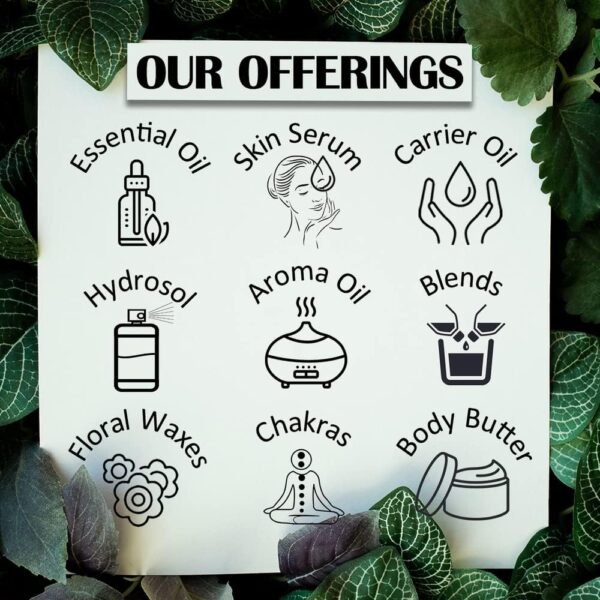 Pure Saffron Essential Oil (Crocus sativus) with Glass Dropper Steam Distilled 120ml (4 oz)