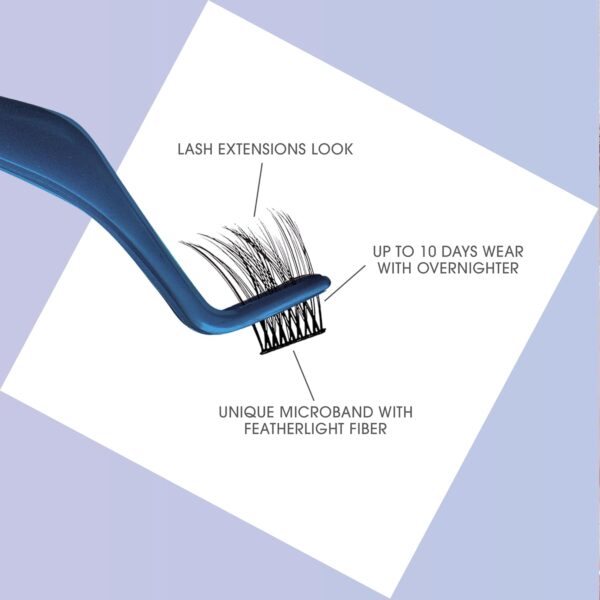 Clear Band False Eyelashes, Lash Extension Kit, Feathery & Wispy, Natural Volume, 8mm-10mm-12mm, Includes Bond & Seal, Precision Applicator & 36 Lash Clusters