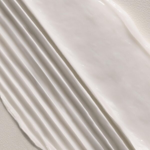 Davines OI Conditioner, Smoothing Conditioner For Normal Hair And All Hair Types, Softens And Restores Chemically Treated Hair