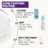 Pacifica Acne Spot Treatment & Pimple Cream – Dry It Out Gel with 2% Salicylic Acid, Witch Hazel, Niacinamide – Dries Blemishes Overnight, Fights Breakouts & Redness, For Teens & Adults, Vegan Clean