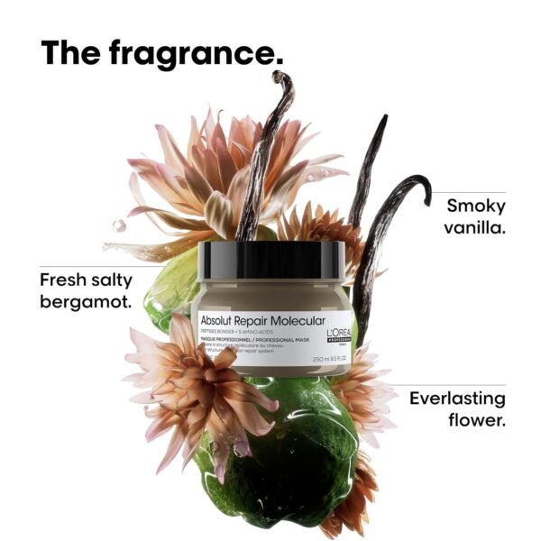 L'Oréal Professionnel Paris Absolut Repair Molecular Hair Mask - Repairs Damage & Restores Strength For Extremely Dry Damaged Hair, Extra Detangling & Hydration, Peptides Bonder