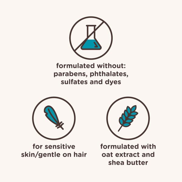 Aveeno Kids Curly Hair Conditioner, Hydrating Conditioner, Kids Curly Hair Products, Oat Extract & Shea Butter, Gentle Scent, 12 fl. oz (Pack of 1)