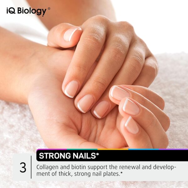 Hair Skin and Nails Gummies with Biotin Collagen Keratin Astragalus - Hair Growth Supplement & Hair Vitamins for Hair Loss for Women & Men, Hair Skin and Nails Multivitamin B7 Gummies, 60 Gummy Bears