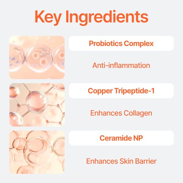 Bifida Barrier Ampoule, Mild and Moisturizing Korean Skin Care Face Serum Ampoule with Ceramide NP and Hyaluronic Acid for Hydration and Skin Elasticity, 50ml (1.69 Fl. Oz.)