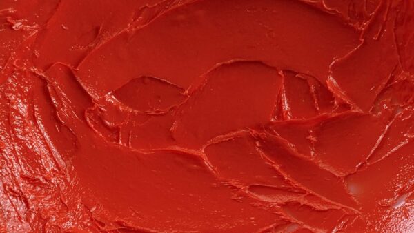 Dr. PawPaw Multipurpose Soothing Tinted Balm - Lip Balm for Lips, Cheeks, Eyes – Tinted Lip Balm - Lip Moisturizer with Pawpaw - True Coral - 0.33 oz