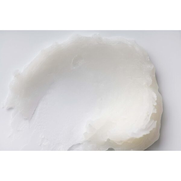 Burt's Bees 12 Days of Joy Lip Balm Advent Calendar Gift Set, Flavored Lip Balm Pack Great for Office Holiday Gifts, Tint-Free, Natural Origin Lip Care, 12 Tubes, 0.15 oz.