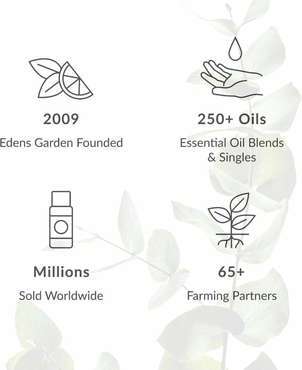 Edens Garden Elemi Essential Oil- 100% Pure Premium Grade, Undiluted, Natural, Therapeutic, Aromatherapy, The Best for Diffuser, Skin, Face, Hair 30 ml (1 fl oz)