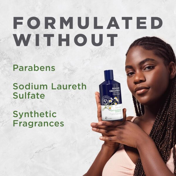 Avalon Organics Therapy Medicated Anti-Dandruff Shampoo for Soft, Flake-Free Hair, 14 Fluid Ounces