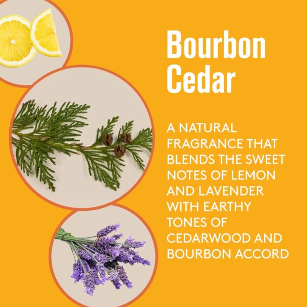 Barrel and Oak - Conditioning Shave Cream, Men's Shaving Cream, Moisturizing Shave Cream, Caffeine & Antioxidant-Rich, Helps Prevent Nicks, Bumps, Redness, & Dry Skin, Vegan (Bourbon Cedar, 6.5 oz)