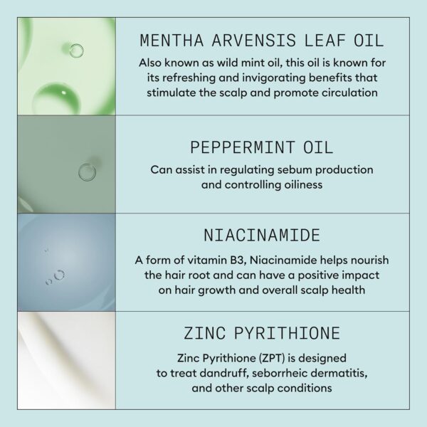 Nioxin Scalp Recovery Anti-Dandruff System Kit | For Itchy & Flaky Scalp | Pyrithione Zinc | Trial Size