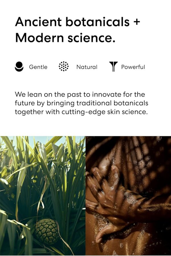 Koa Yuzu Facial Cleanser - Traditional and Nourishing Ingredients From Hawaii - Gentle Cleansing Action Purifies Without Stripping Skin - Antioxidizing Formula Protects from Free Radicals - 2.9 oz