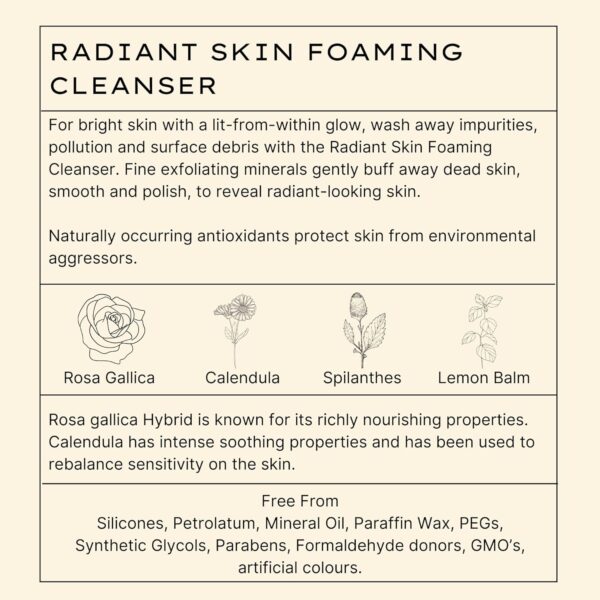 Jurlique Radiant Skin Foaming Facial Cleanser , 2.8 Oz (Pack of 1)