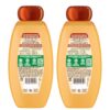 Garnier Whole Blends Honey Treasures Repairing Shampoo, for Dry, Damaged Hair, 22 Fl Oz, 2 Count (Packaging May Vary)