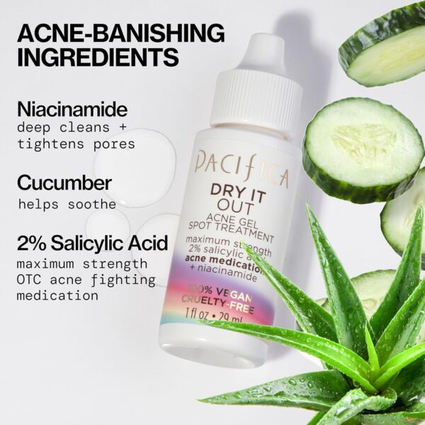 Pacifica Acne Spot Treatment & Pimple Cream – Dry It Out Gel with 2% Salicylic Acid, Witch Hazel, Niacinamide – Dries Blemishes Overnight, Fights Breakouts & Redness, For Teens & Adults, Vegan Clean