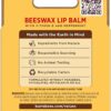 Beeswax Lip Balm Pack by Burts Bees for Unisex - 4 x 0.15 oz Lip Balm