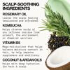 Pacifica Scalp Smoothie Hydrating Scalp Treatment & Leave-On Hair Mask, Cooling Relief for Dry, Flaky, Itchy Scalp & Thinning Hair, Vegan & Cruelty-Free, 6 fl oz