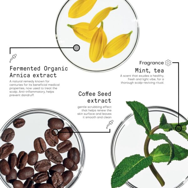 FRAMESI Morphosis Scalp Destress Serum, 3.4 fl oz, Soothing Leave In Scalp Treatment for Sensitive Scalps