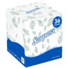 Boutique Facial Tissue Cube (21320), 2-Ply, White, Unscented, 110 Face Tissue / Box, 36 Boxes / Case