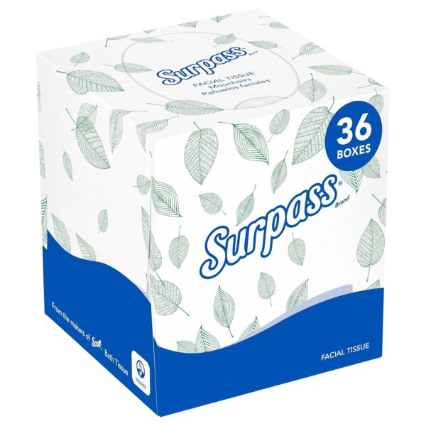 Boutique Facial Tissue Cube (21320), 2-Ply, White, Unscented, 110 Face Tissue / Box, 36 Boxes / Case