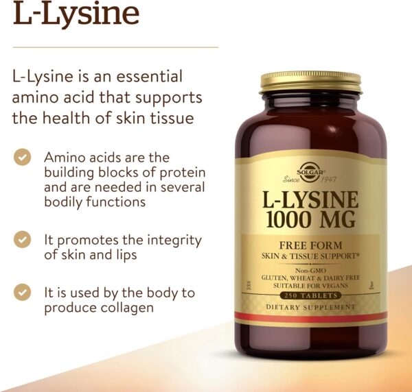 Solgar L-Lysine 1000 mg, 250 Tablets - Enhanced Absorption and Assimilation - Promotes Integrity of Skin and Lips - Collagen Support - Amino Acids - Non-GMO, Vegan, Gluten Free - 250 Servings