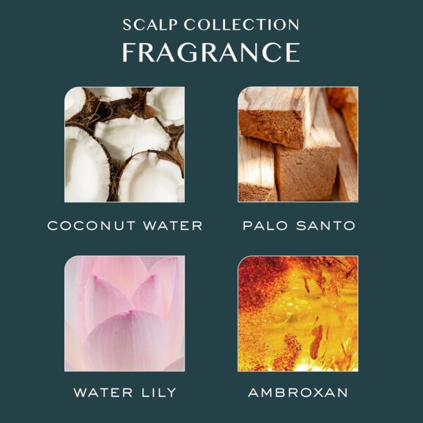 Kristin Ess Hair Scalp Purifying Micellar Shampoo for Deep Cleansing + Scalp Hydrating - Removes Build Up, Shine Boosting, Vegan, Sulfate Free Shampoo, Color Safe + Keratin Safe, 10 fl oz