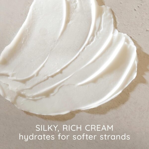 Aveeno Apple Cider Vinegar Sulfate-Free Conditioner for Balance & High Shine, Daily Moisturizing & Scalp Soothing Conditioner for Oily or Dull Hair, Paraben & Dye-Free, 12oz