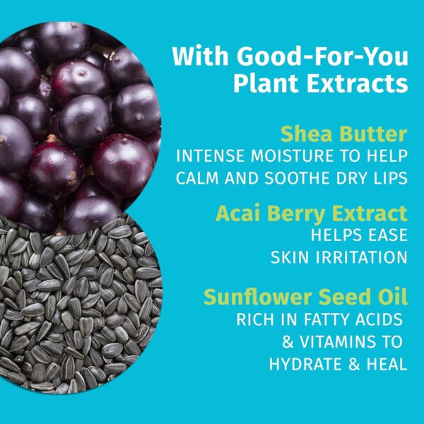 Hempz Original Lip Balm, 3-Pack, travel essential for dry cracked lips, ultra hydrating gloss, .44 oz