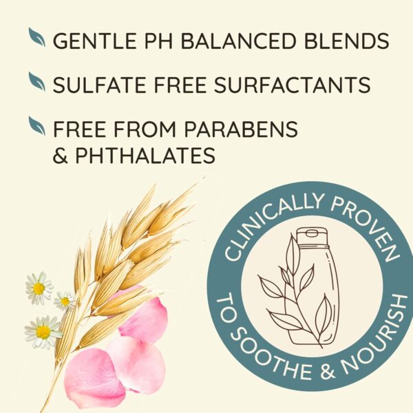 Aveeno Scalp Soothing Rose Water and Blend Conditioner, chamomile, 12 Fl Oz