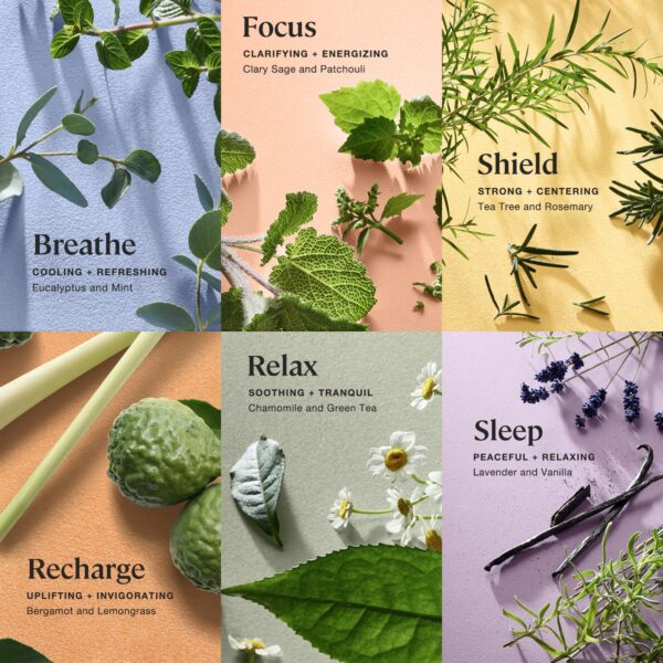 Sprig by Kohler Bath Bomb Gift Set, Hypoallergenic, Made with Natural Botanicals & Premium Skincare Ingredients (Shea Butter, Coconut Oil, & Kaolin Clay) - 6 Pack