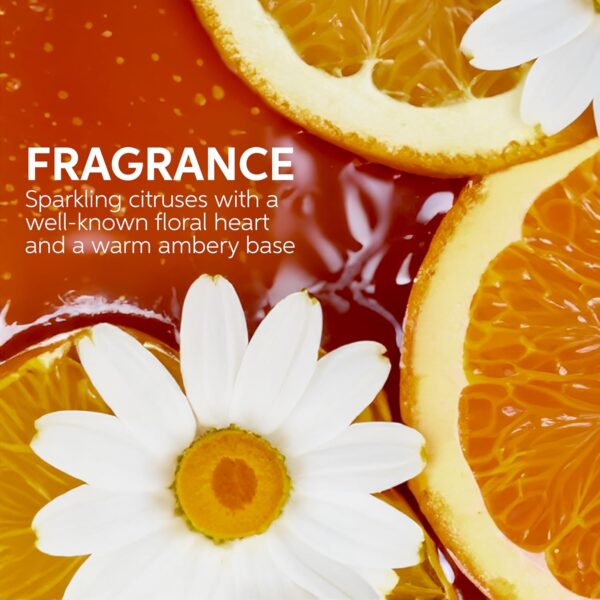 Wella Professionals ULTIMATE SMOOTH Shampoo for Dry, Dull & Frizzy Hair | For Shine & Smoothness | With Squalane & Omega 9 | Color Safe