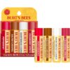 Burt's Bees Lip Balm, 100% Natural Origin, Peppermint, Salted Caramel, Shortbread Cookie and Cranberry Spritz Moisturizing Lip Balms (4-Pack)