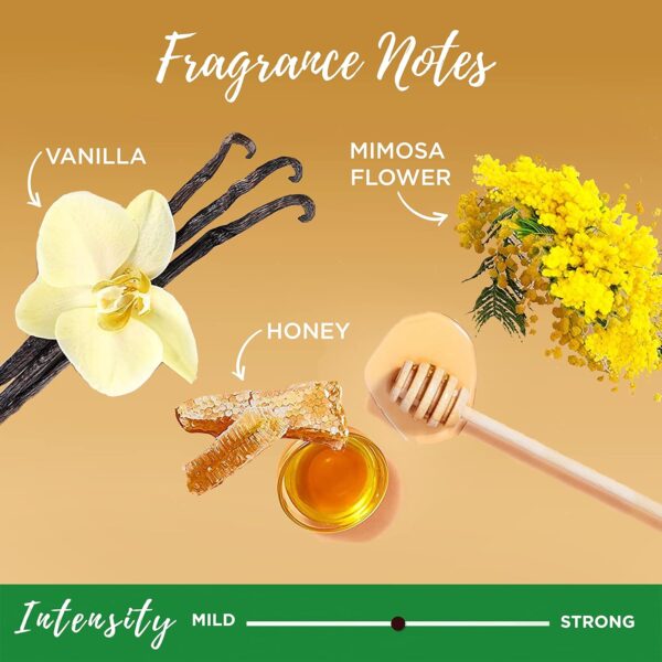 Garnier Whole Blends Sulfate Free Remedy Miracle Nectar 10-in-1 Repairing Leave-In Conditoner for All Hair Types, Honey Treasures, 5 Fl Oz, 2 Count (Packaging May Vary)