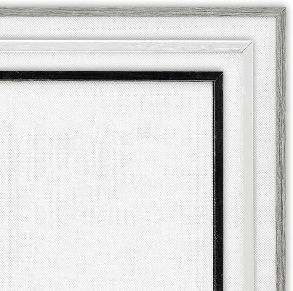 Stupell Industries Varied Floral Perfumes Framed Giclee Art Design by Amanda Greenwood