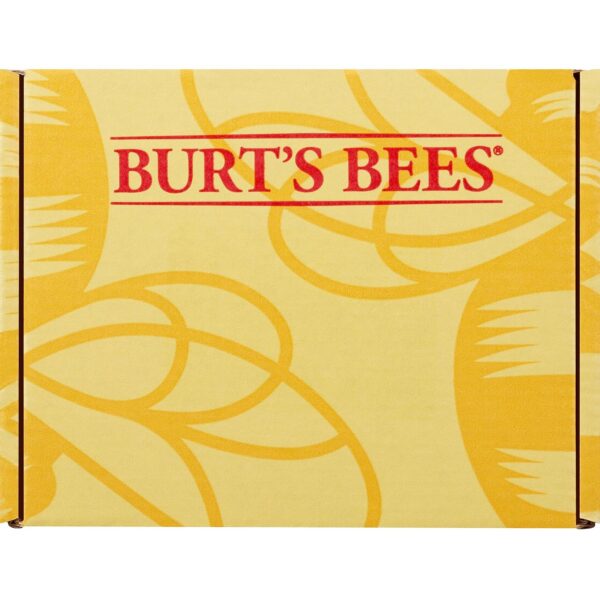 Burts Bees Rescue Lip Relief with Shea Butter and Echinacea, 100% Natural Origin, 0.35 Ounces